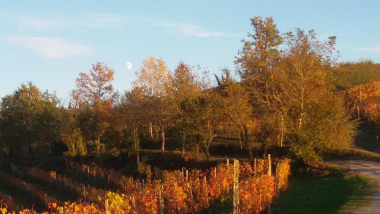 Cascina Torello Dogliani Ngoại thất bức ảnh