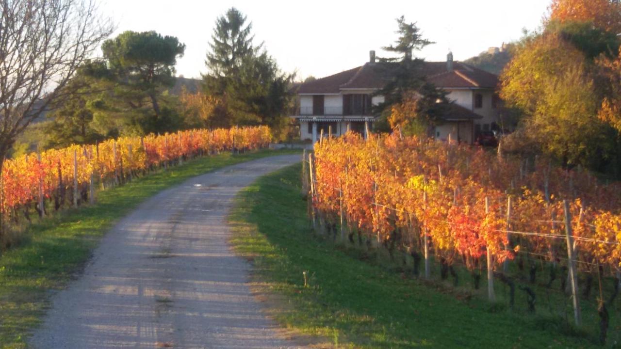 Cascina Torello Dogliani Ngoại thất bức ảnh