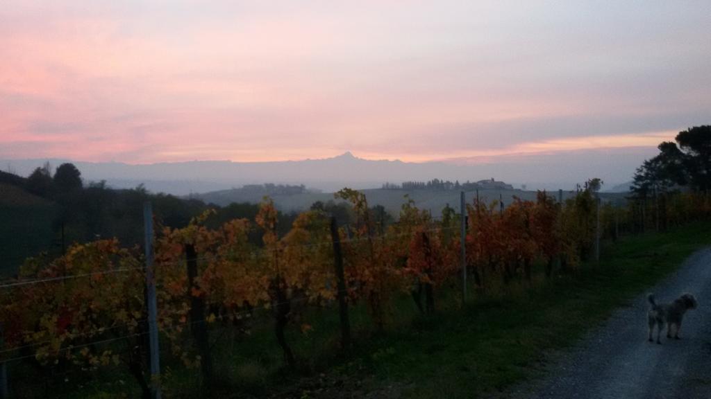Cascina Torello Dogliani Ngoại thất bức ảnh