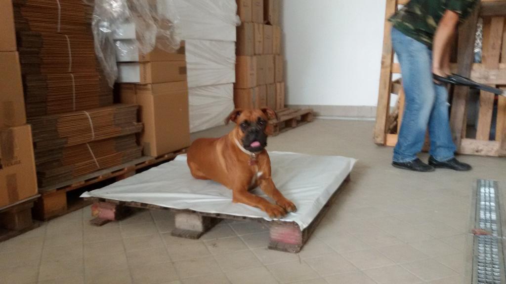 Cascina Torello Dogliani Ngoại thất bức ảnh