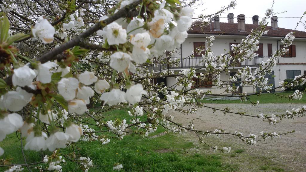 Cascina Torello Dogliani Ngoại thất bức ảnh