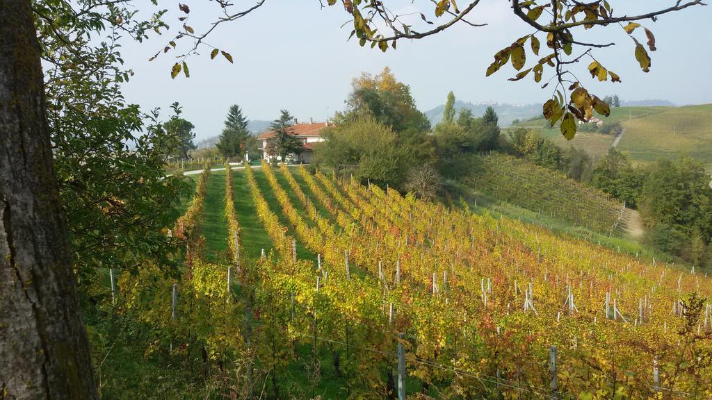 Cascina Torello Dogliani Ngoại thất bức ảnh