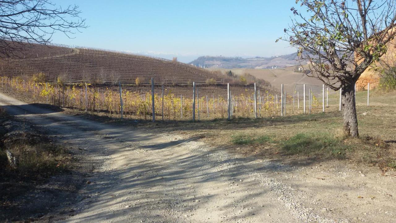 Cascina Torello Dogliani Ngoại thất bức ảnh
